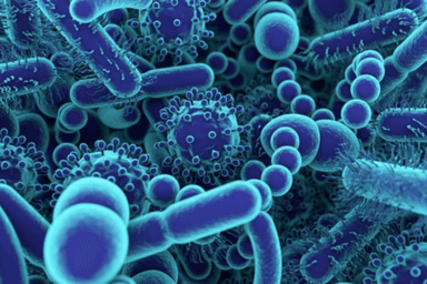 CLINICAL MICROBIOLOGY AND INFECTIOUS DISEASES