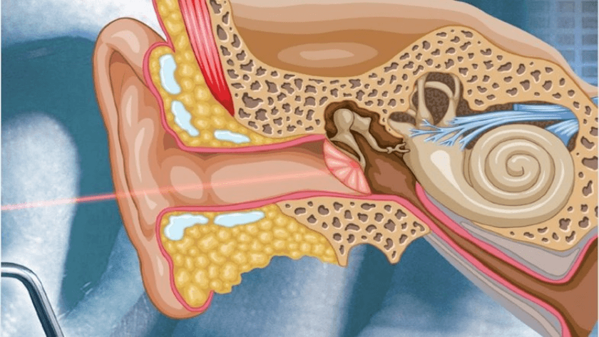 Otology, Rhinology & Laryngology