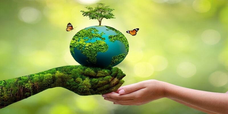 Environmental Science, Climate Tech & Green Energy
